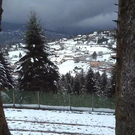 Lejlighed Cosy Gérardmer